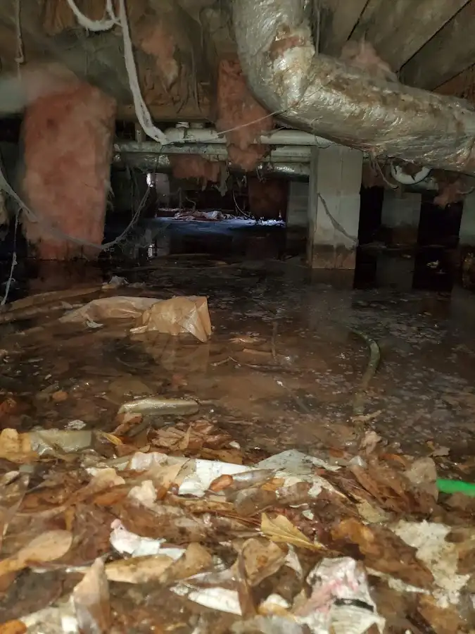 Crawl space flood assessment for Leak Detection & Repair in Ottumwa